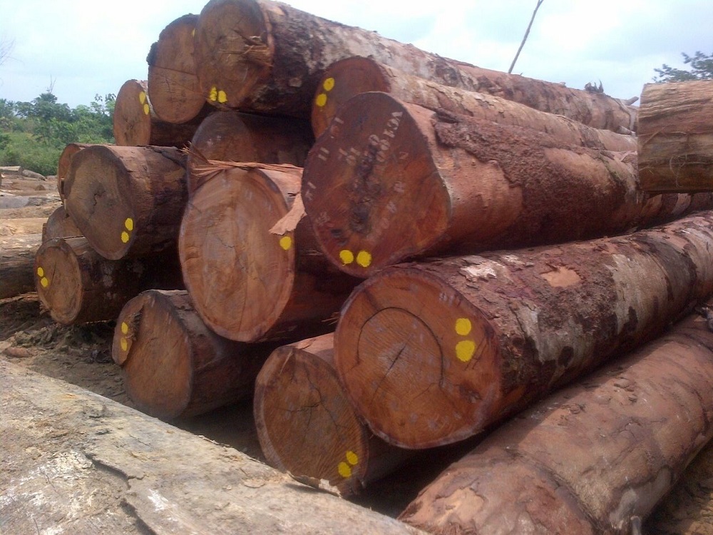 Ngành gỗ xuất khẩu phát triển kỷ lục là do đâu?