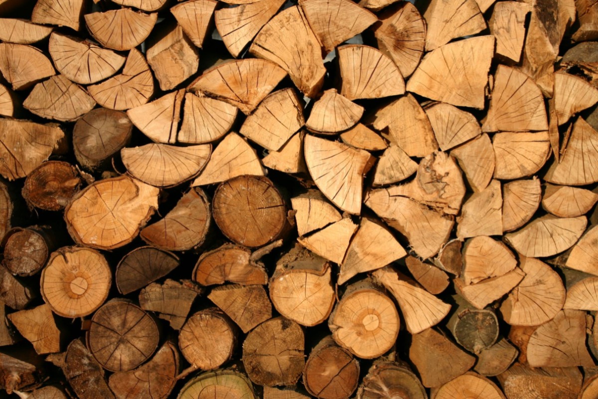 Ngành xuất khẩu gỗ Việt tăng kỷ lục