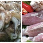 Ngành xuất khẩu mực và bạch tuộc sang Mỹ tăng mạnh