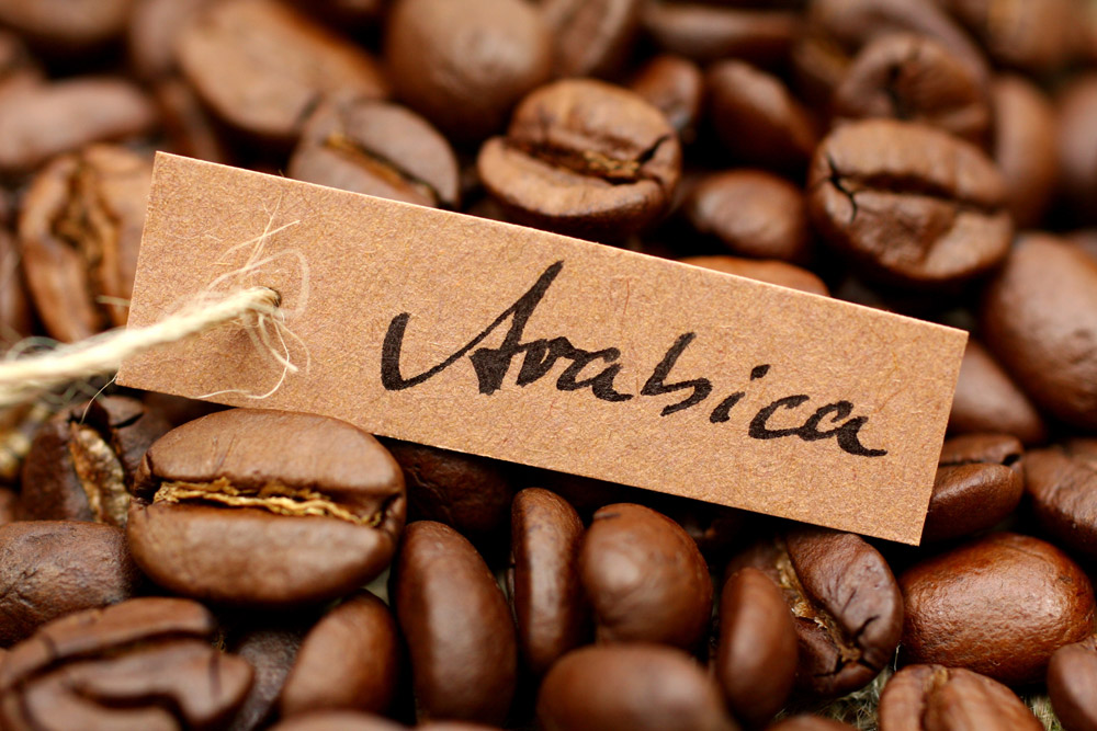 Nhận định thị trường cà phê Arabica