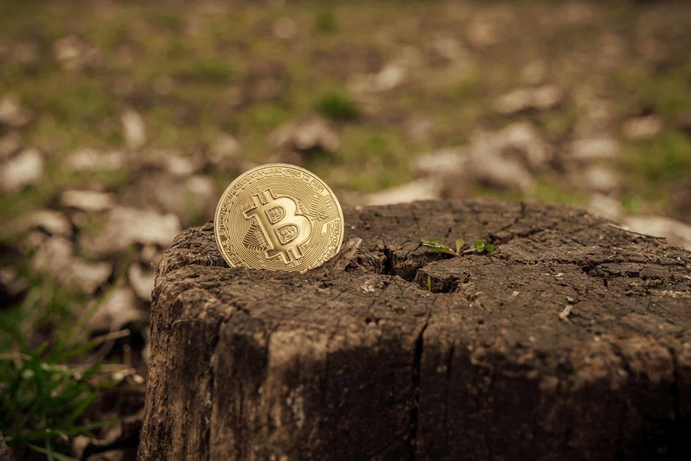 đồng bitcoin giảm chưa đủ lo ngại