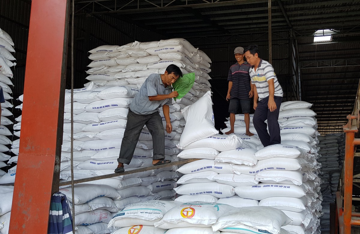 Xuất khẩu gạo sang Philippines có cơ hội ổn định hơn