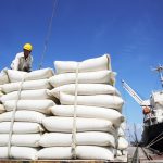Xuất khẩu gạo Việt đang phải cạnh tranh với các nước khác